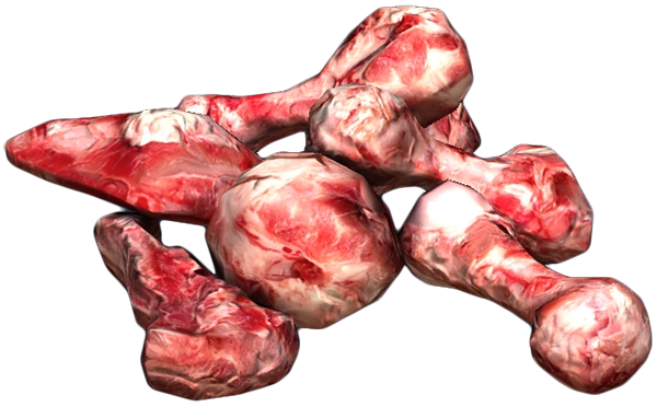 DayZ crafting ingredient: Bones