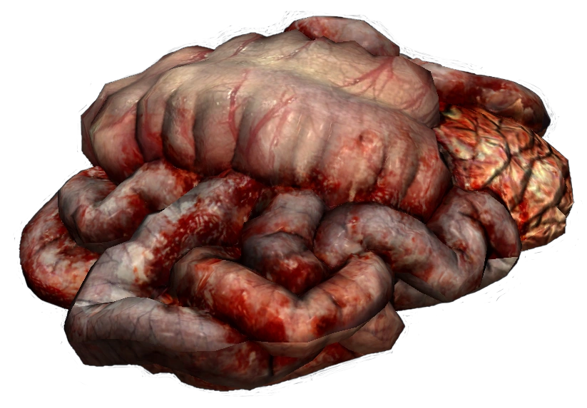 DayZ crafting ingredient: Guts